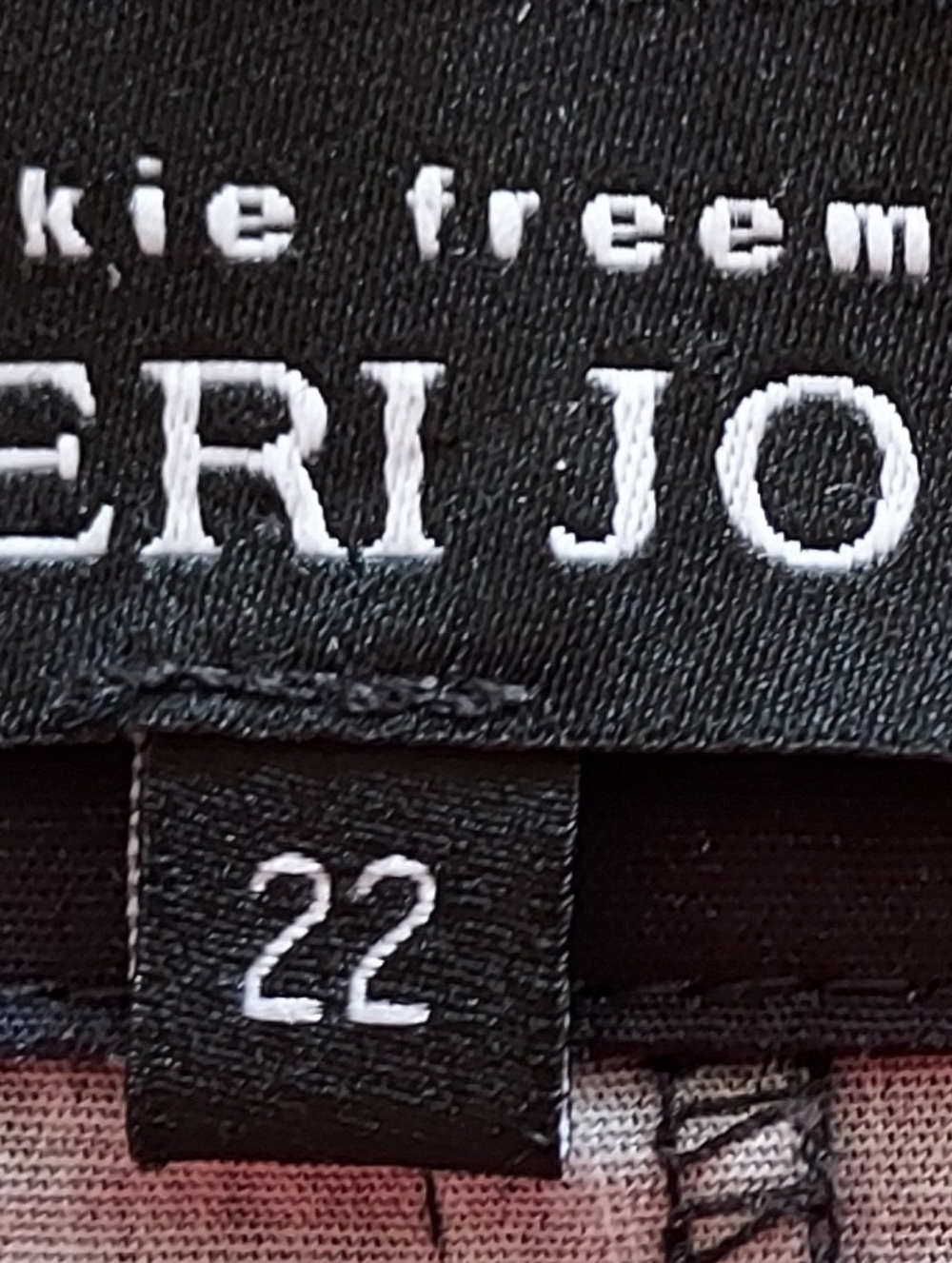 Teri Jon Cotton Shirtwaist Dress with Wrap Bodice and Springy  Floral Skirt, 22 - Picture 2 of 10